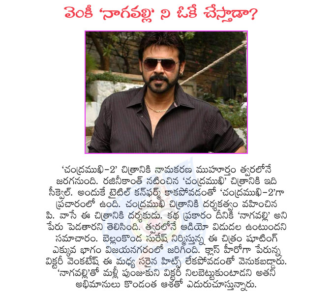 victory venkatesh,nagavalli,chandramukhi 2,chandramukhi sequel,venky,nagavalli movie,p vasu directors,venkatesh actor,nagavalli telugu movie,victory,telugu movie nagavalli  victory venkatesh, nagavalli, chandramukhi 2, chandramukhi sequel, venky, nagavalli movie, p vasu directors, venkatesh actor, nagavalli telugu movie, victory, telugu movie nagavalli